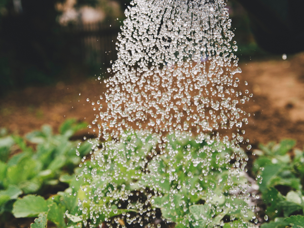 Reuse your greywater